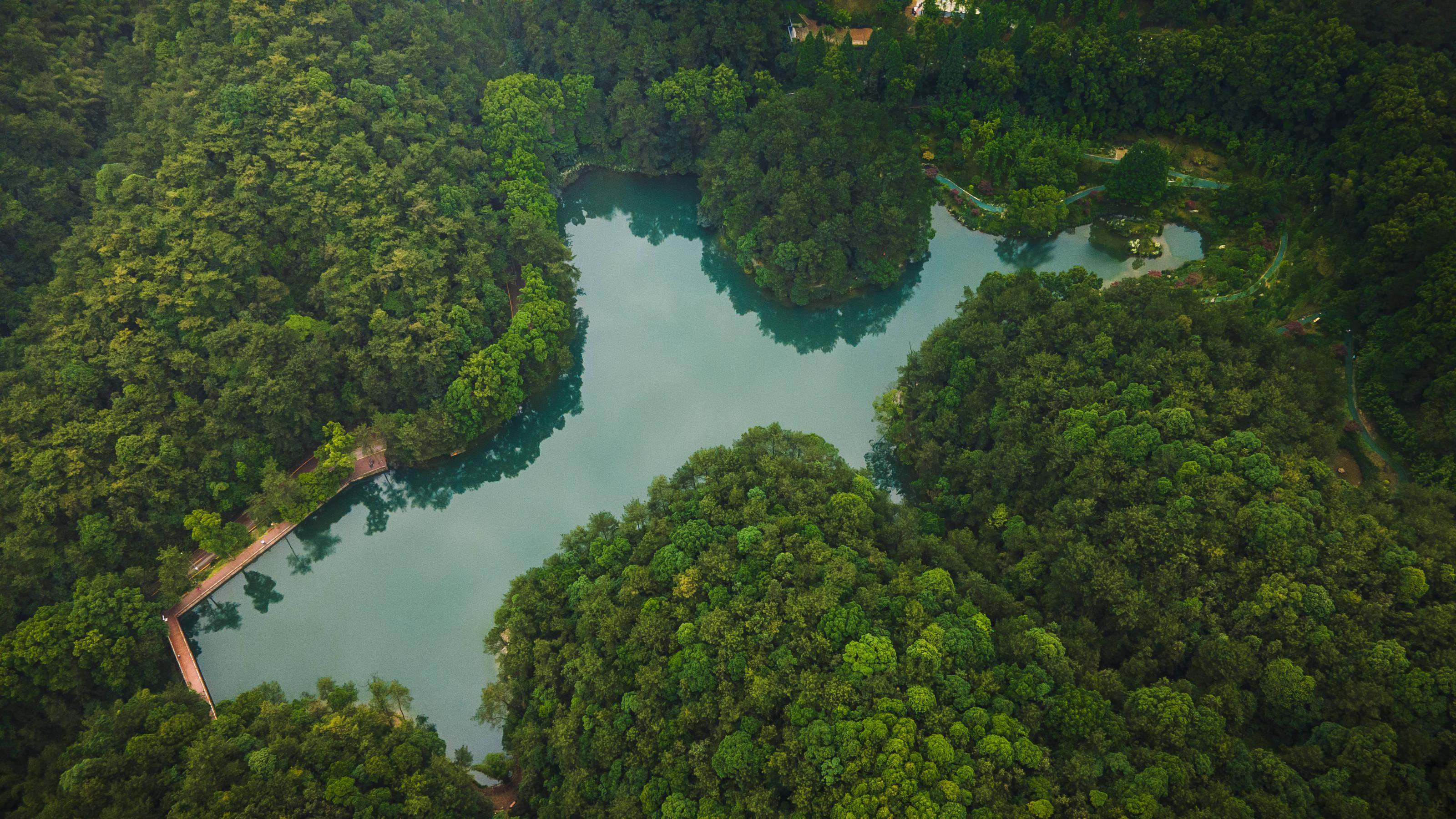 生态美产业兴北碚高质量做好缙云山综合提升后半篇文章