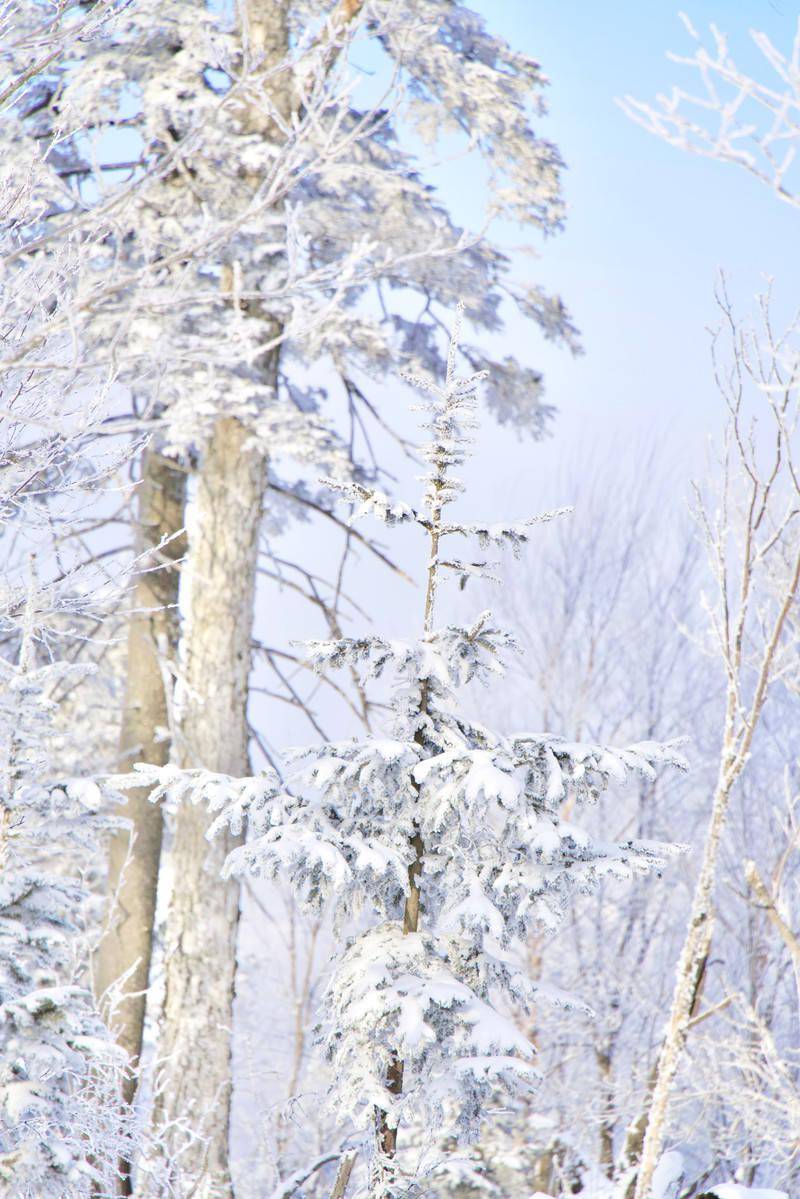 吉林|遇见凇雪吉林，赴一场冬日里的浪漫旅行