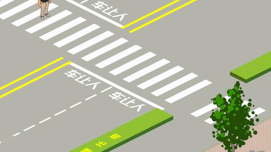 标线或者交通警察指挥的交叉路口时,行人相对于机动车享有优先通行权