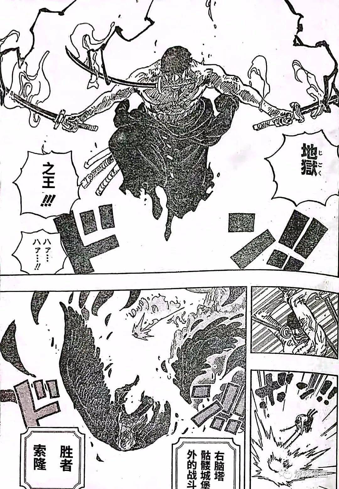 海贼王,海贼王,汉化版|海贼王 1036话 汉化版