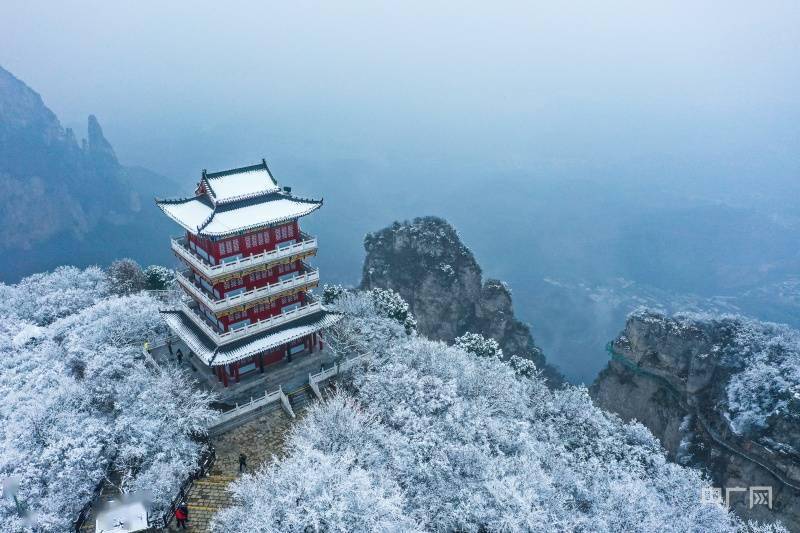 游客|河南云台山雪景冰瀑“同框” 上线冬季限定美景