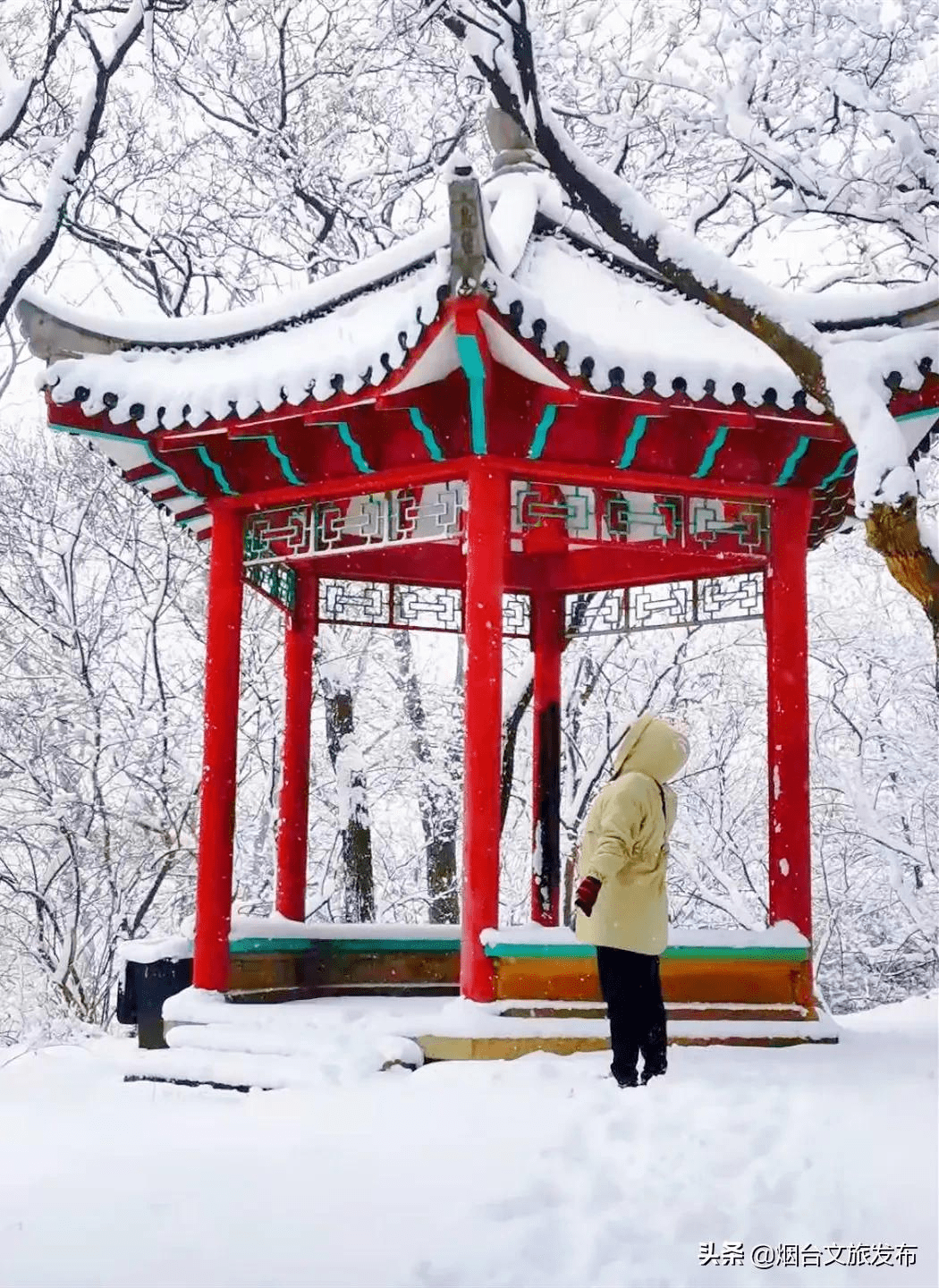 雪花|琼瑶匝地！“雪窝烟台”盛装亮相