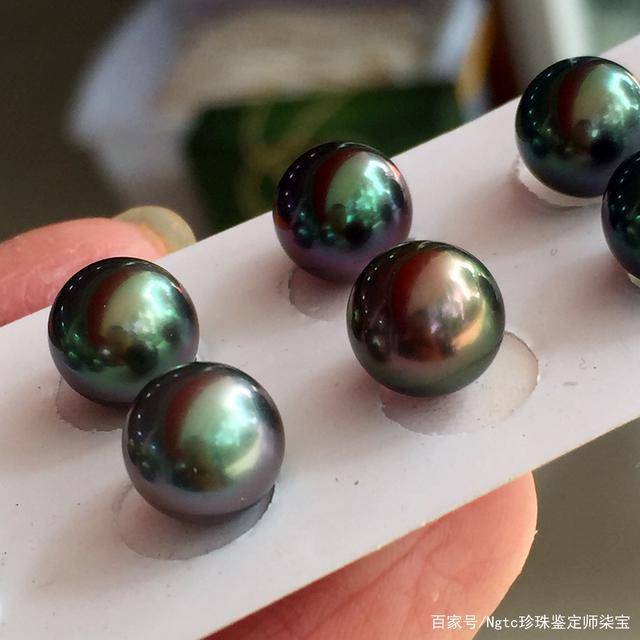 真正的孔雀绿大溪地黑珍珠