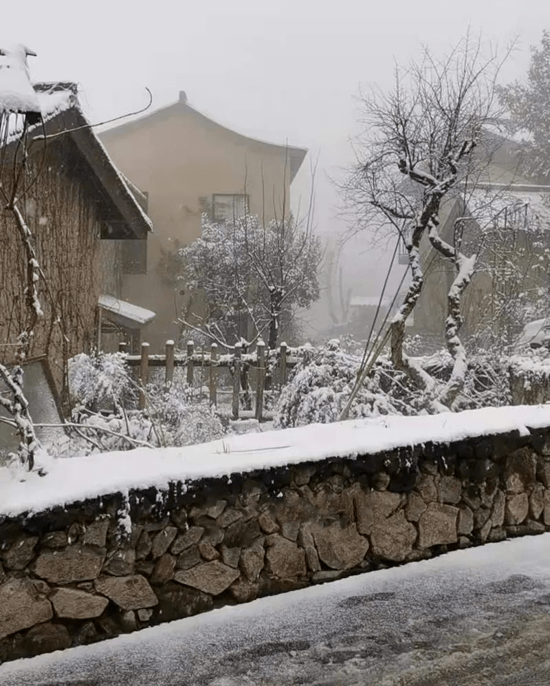 小雨|义乌，下！雪！了！