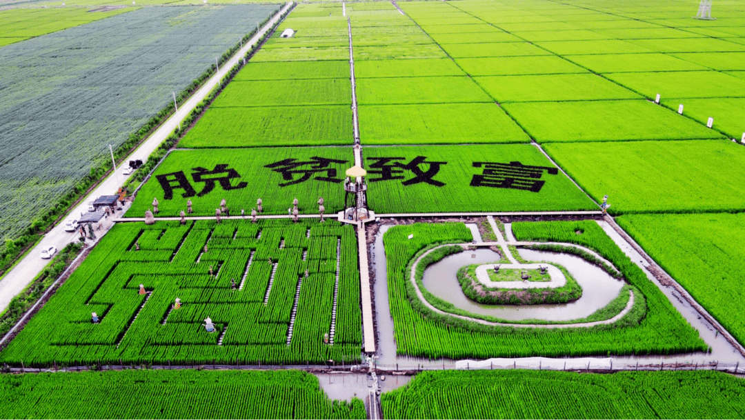 黑河是國家重要商品糧基地和綠色食品主產區,總耕地面積近3000萬畝,年