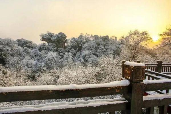 白天|成都“初雪”报到！