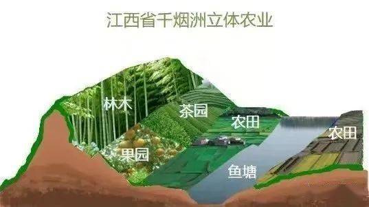 中国东南丘陵地区,四川西部和青藏高原等地的立体农业均比较突出
