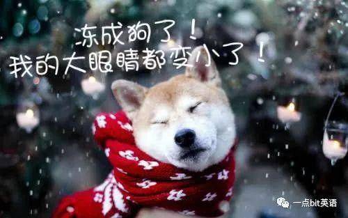 冬至的英语怎么说 冻成狗 的英语怎么说 Winter 张仲景 The