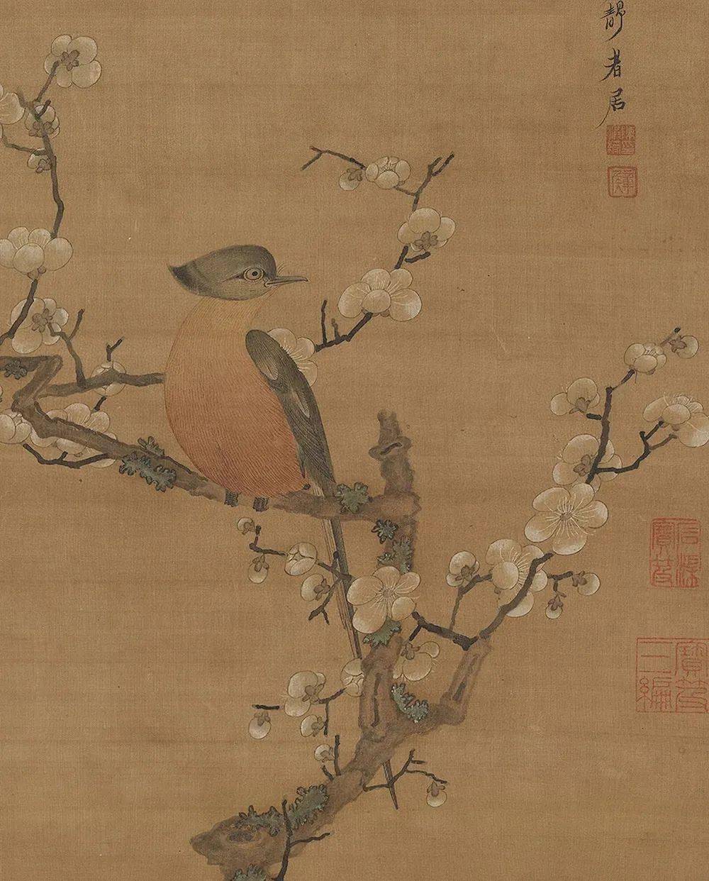 陈老莲_梅花_一生