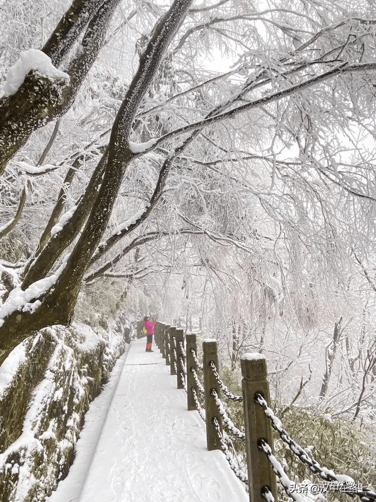 汉中天台山雪景图片