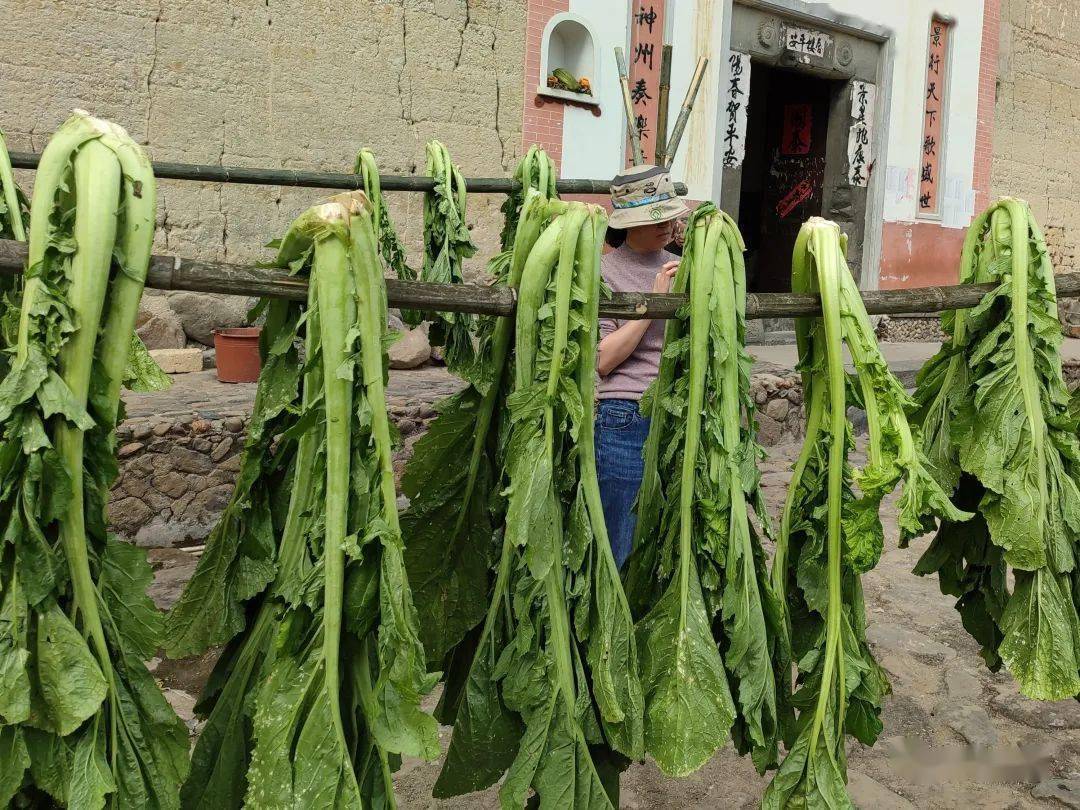 土楼贵菜干永定客家人的乡愁记忆