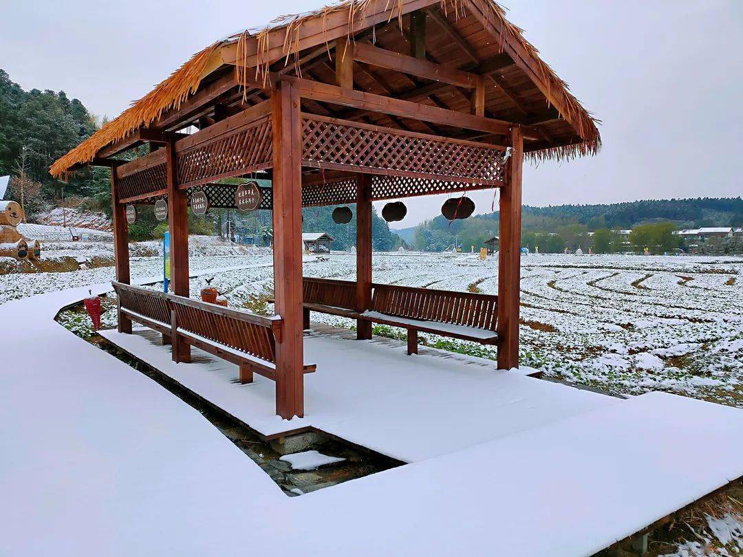 良山雪景很美良山有你们更美