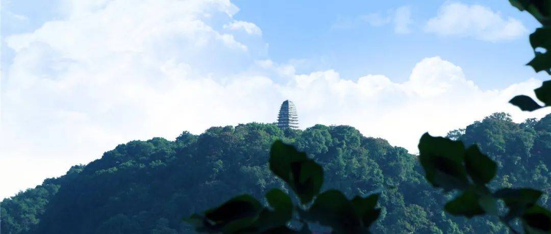 大佛脚下的慢生活丨 万物成诗,酝酿山林中的闲适_冬日_时光_游人