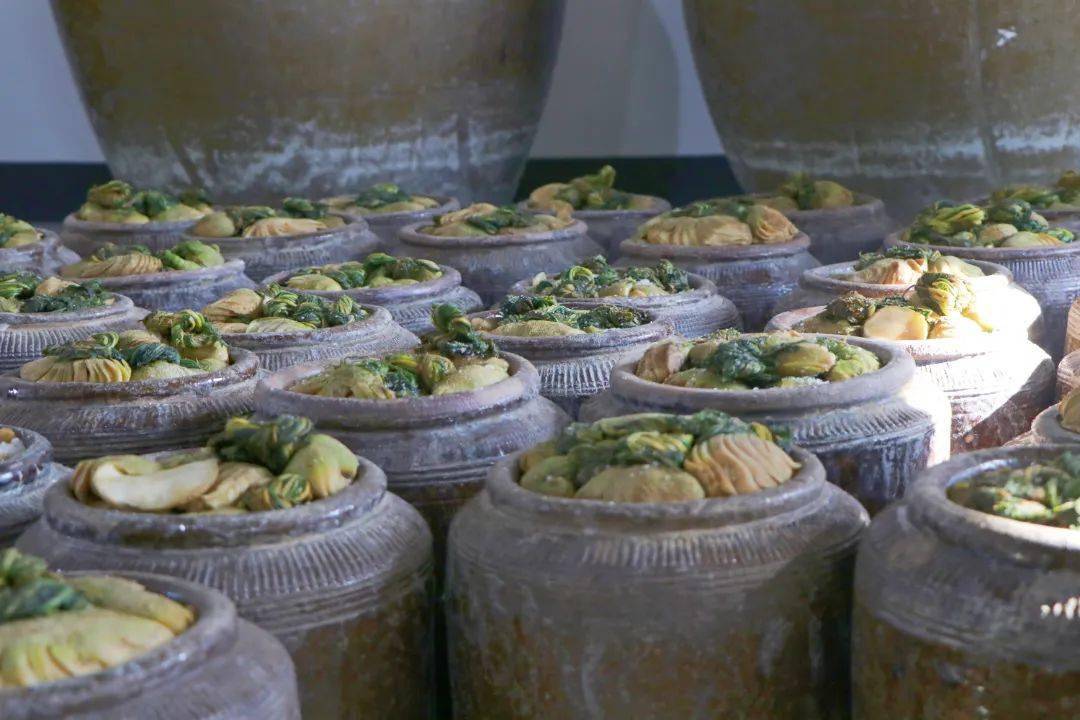 天气冷,阳光足,七都这道非遗美食腌制正当时!_大头菜_稽五漾_种植