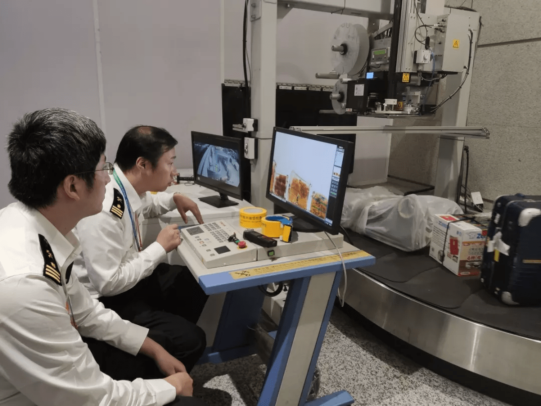 这台特制的巨大x光机安检机就是海关的"火眼金睛",过检行李透视图即可