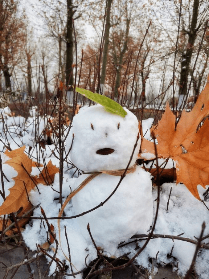 抗击疫情雪人-对酒当歌歌不成