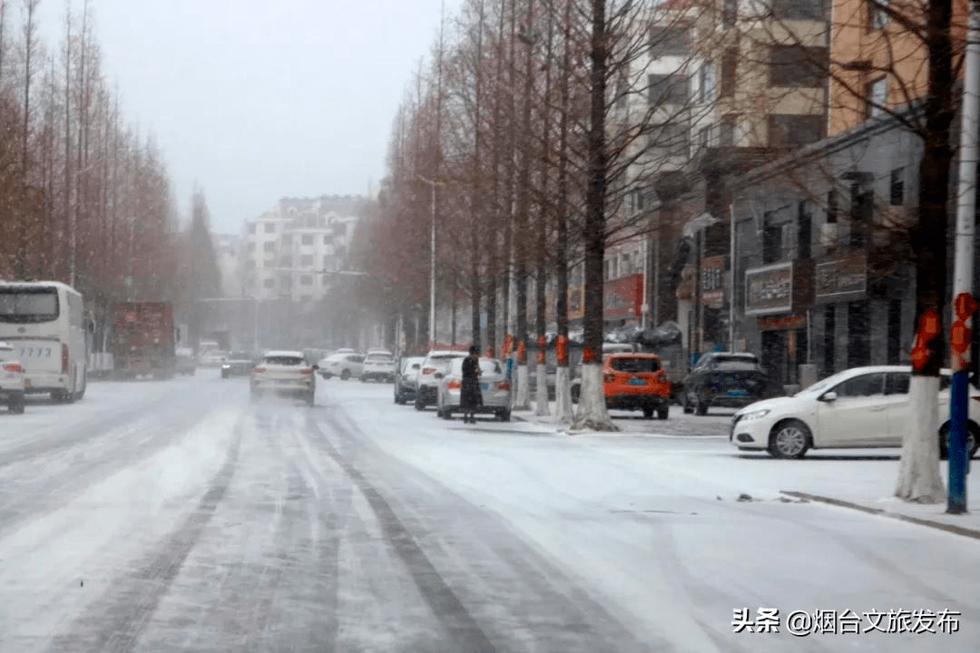 雪花|雪花里的海阳！最美赏雪点位来了！