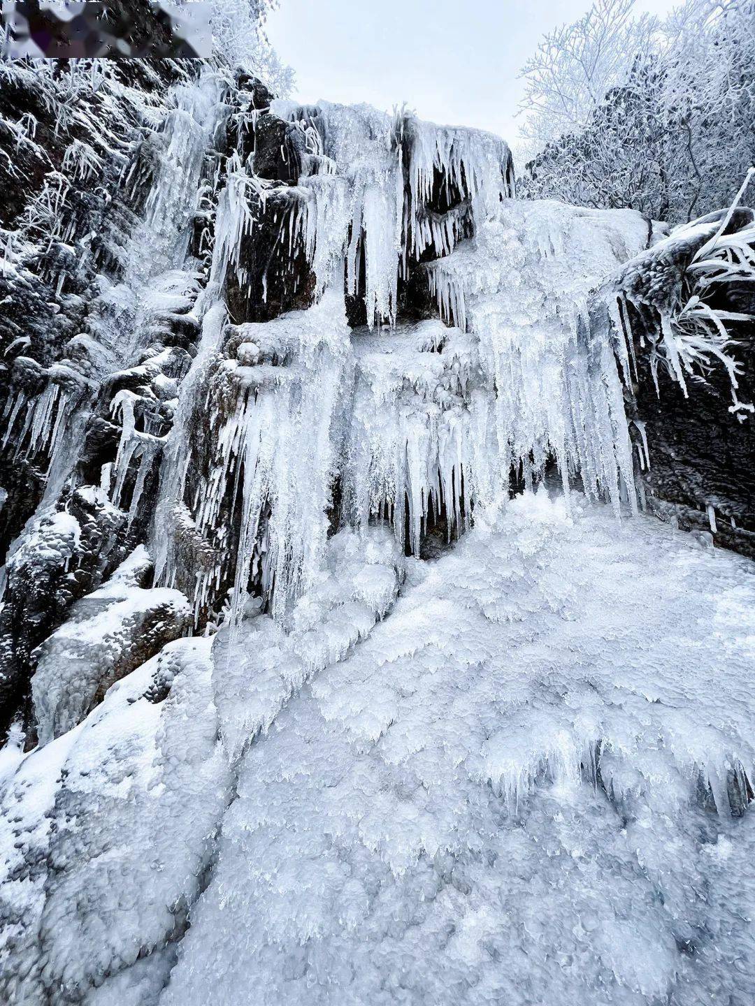 明月山雪景图片