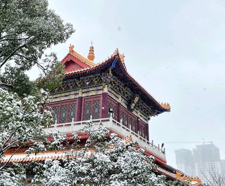 雪景|贵阳西普陀寺初雪素装