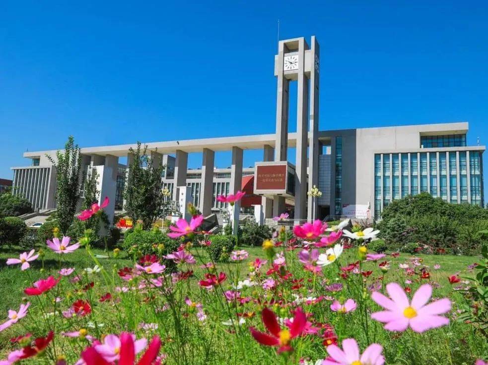 构建了"学位证 职业资格证  综合素质证"三证合一的人才培养模式,促进