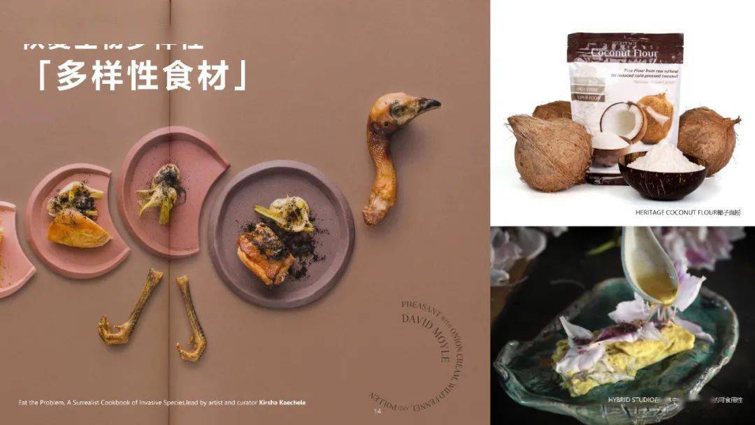 food design | 2022未来食物设计趋势报告_美食_食品_疫情