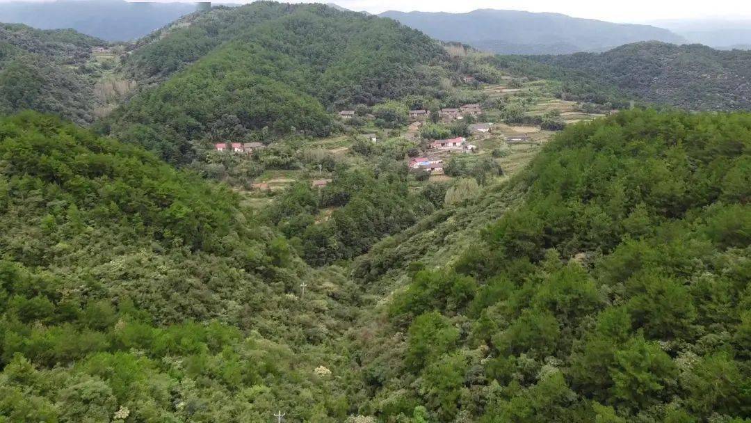 南漳:大山架起信号塔 村民幸福充"满格"