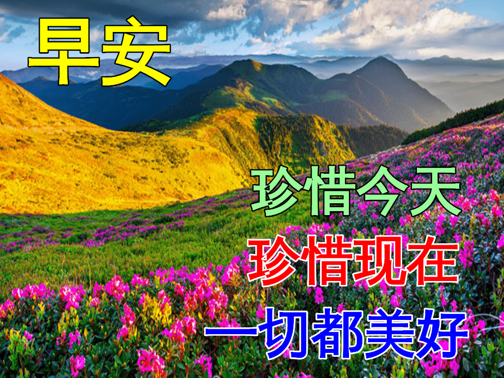 早上好动态表情图片大全早晨好动图美图大全