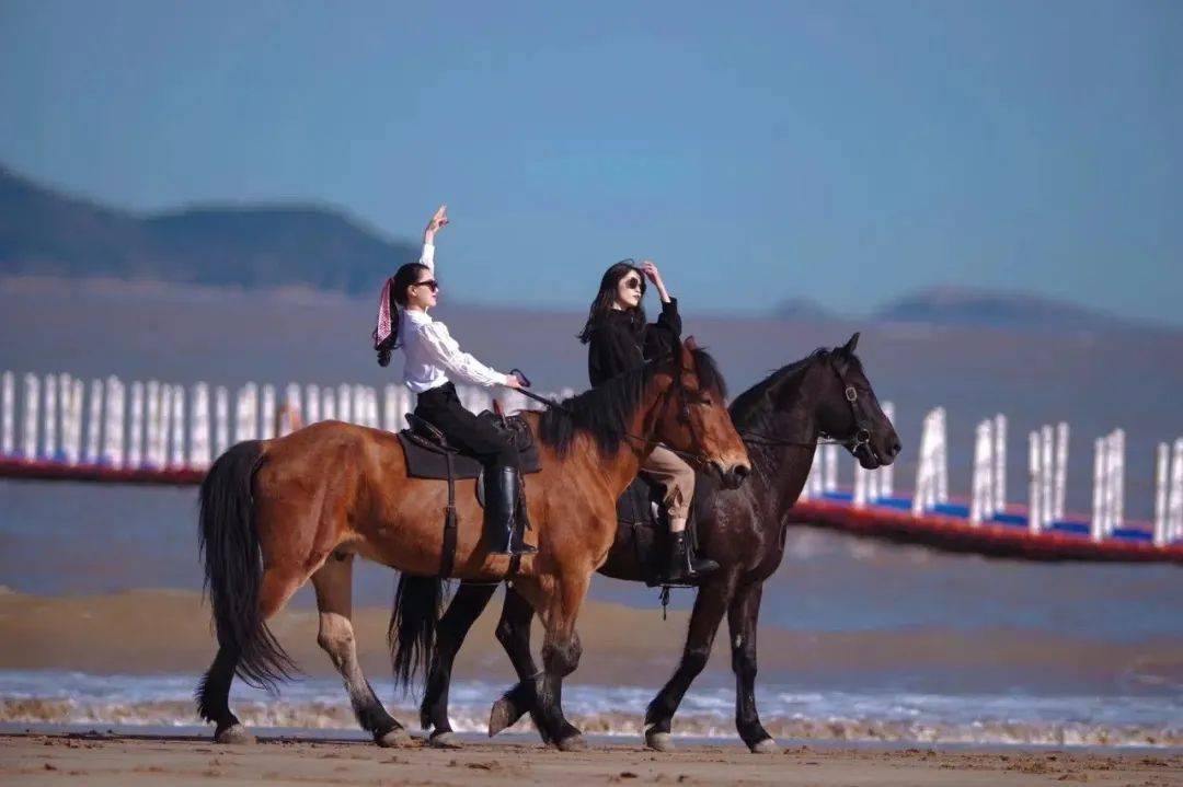 半边山|象山北纬30度最美海岸线太美了！跟着“经海逐浪”精品线路，游起来~