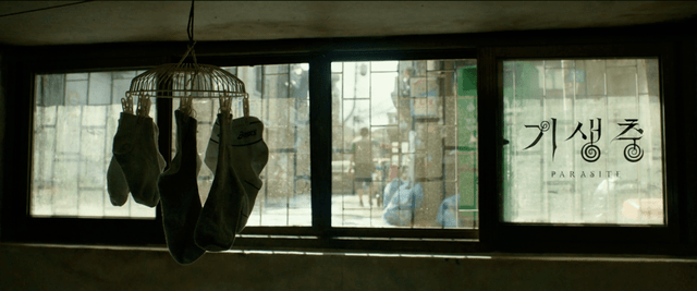 树先生电影解析 170e23c47d36426ab0b8f58cc85172fc.png