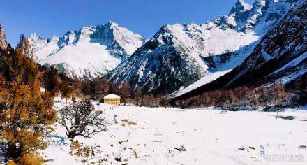 雪景|美！看四川阿坝雪景光影交错