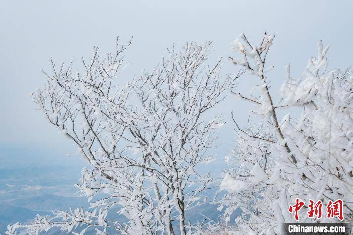 红安|雪后初霁的湖北红安老君山