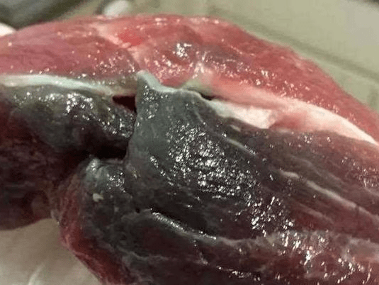 品61生活这个牛肉会发光还能不能吃了