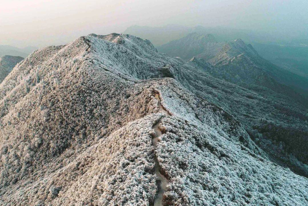 美出圈丹寨龙泉山出现雾凇景观宛如冰雪童话世界