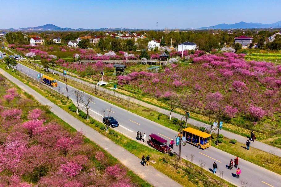 宜兴市白塔村旅游图片