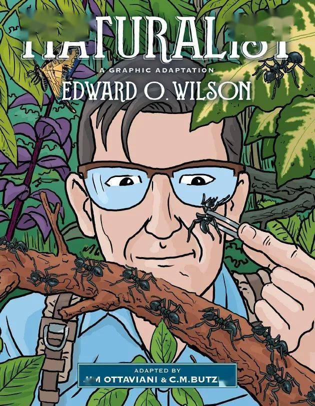 科学大家|怀念博物学家爱德华威尔逊:亲近缤纷的生命_蚂蚁_研究_生物