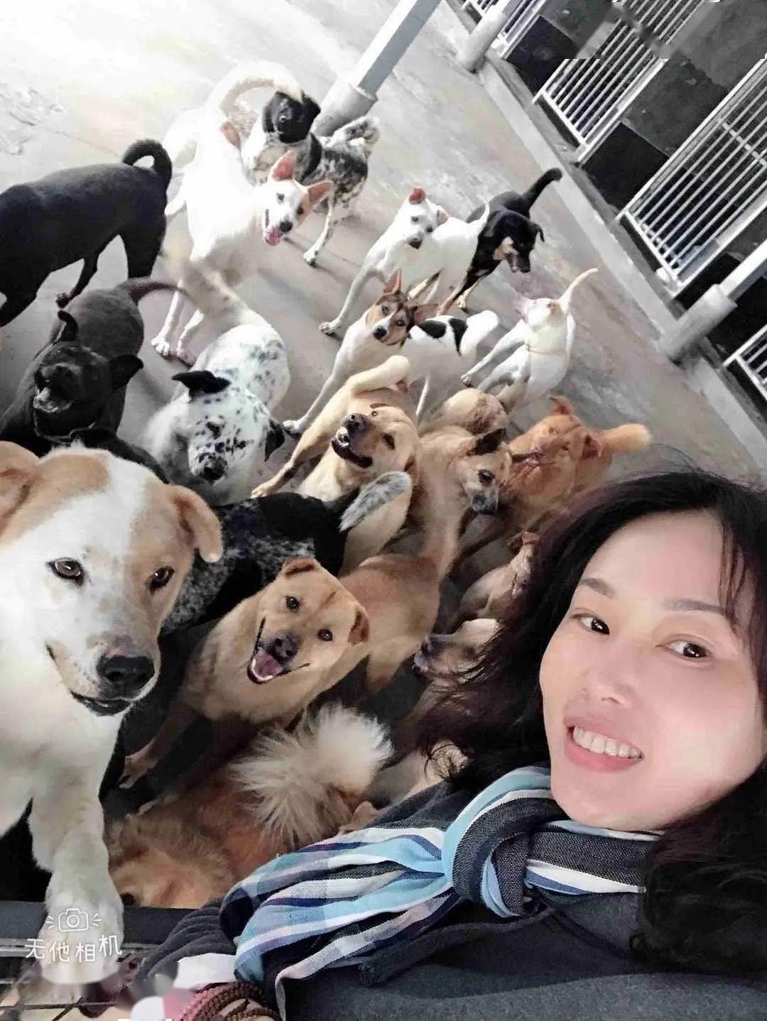 抓到一只闻屁色批猫证据确凿还死不承认