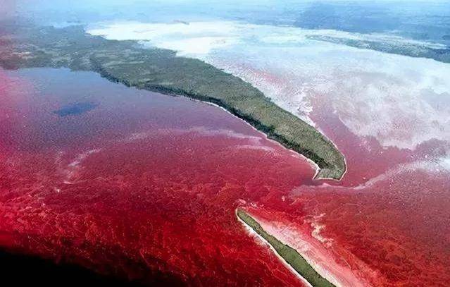 日本北海道发生罕见"赤潮",海水鲜红如血,会与核污水有关吗?
