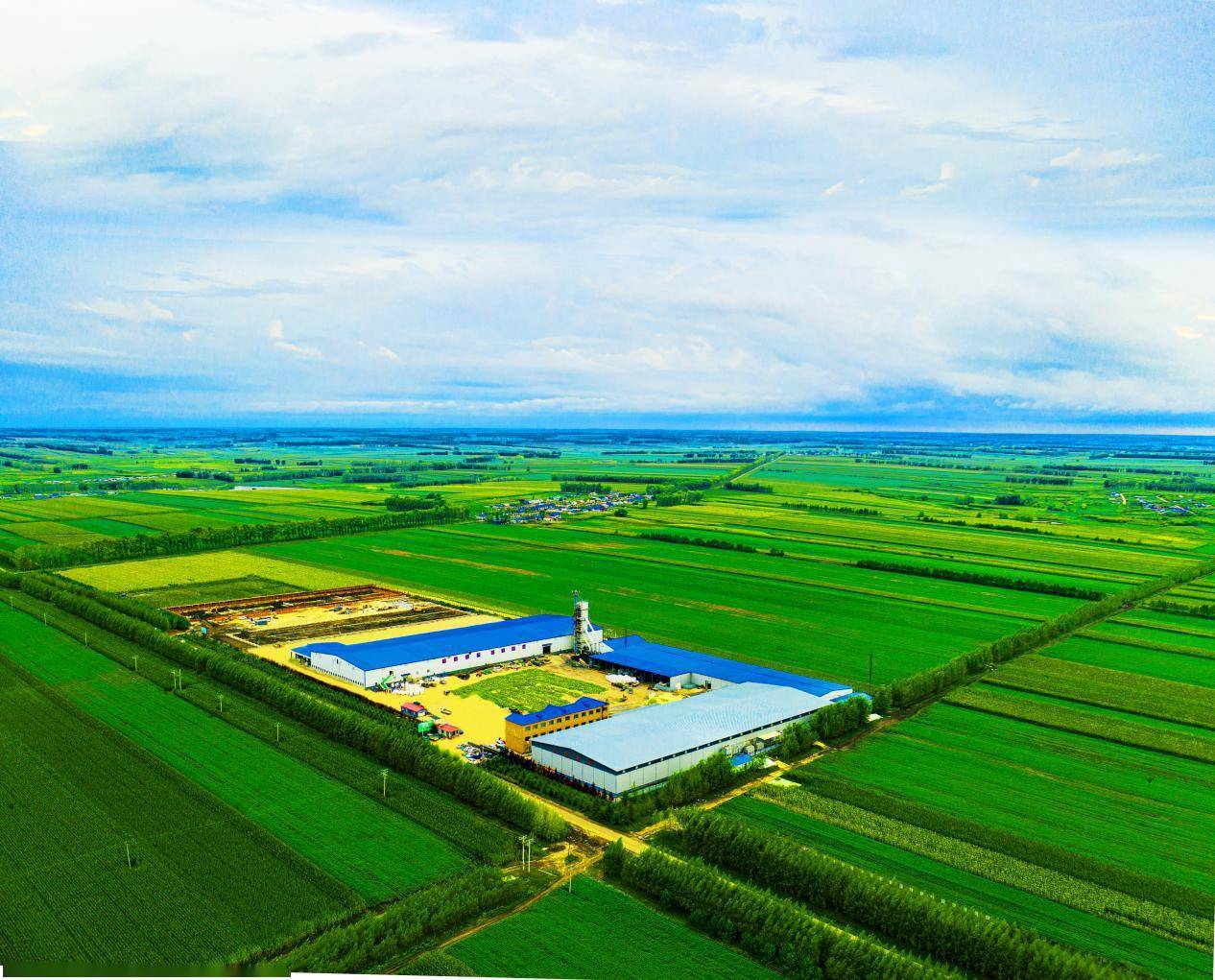 火爆俞敏洪直播间的北纬47度鲜玉米藏着中国农业发展的未来