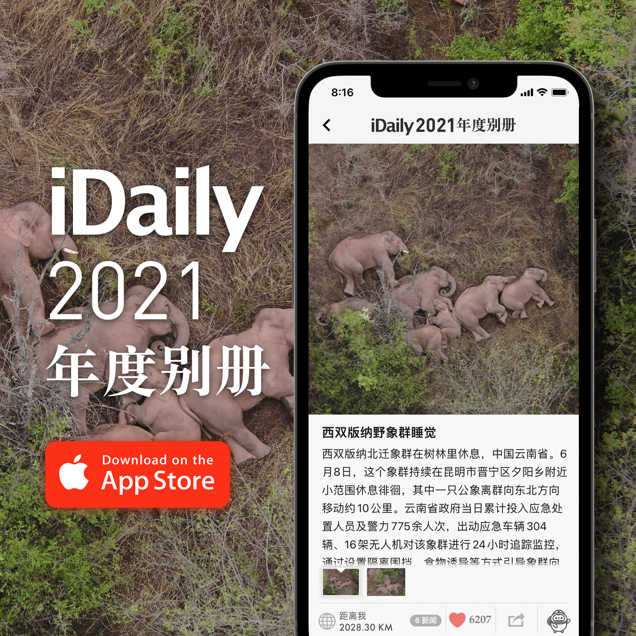 全球 「iDaily·2020 年度别册」：精选5000张全球图片回顾2021年