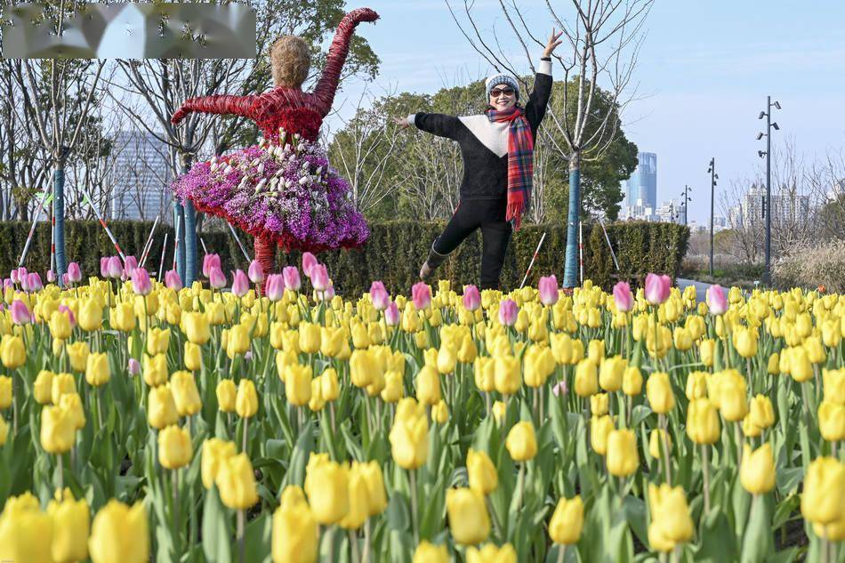 城事｜“春天会更美”,上海世博文化公园北区正式开园