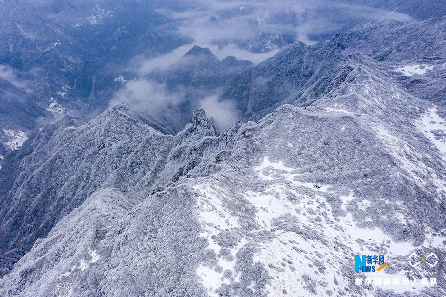 寒潮|重庆巫溪：冰雪奇缘秘境红池 这里的雪过分美丽