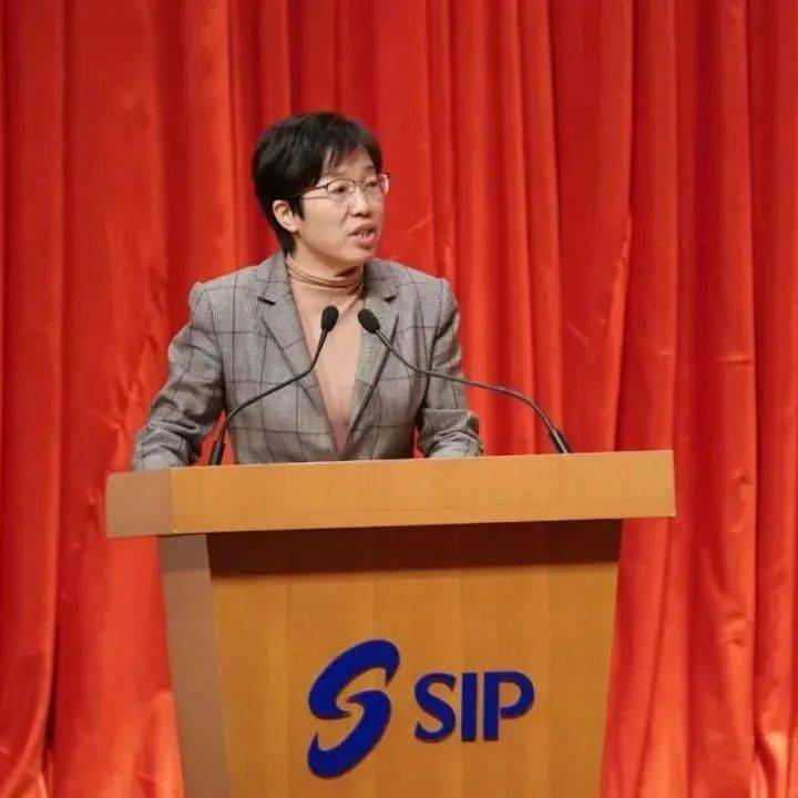 园区投控公司党委书记 董事长 钱晓红站在"十四五"发展的新阶段,园区