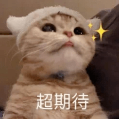 9e2764a3d46247b6aff5af64543516ac.png