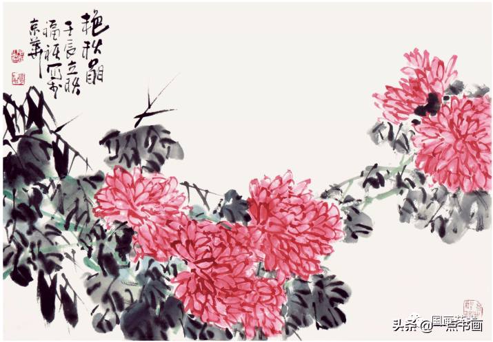 菊花写意简单图片