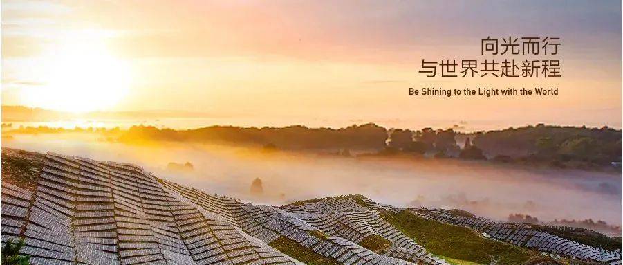 向光而行，与世界共赴新程_向光而_新程_世界