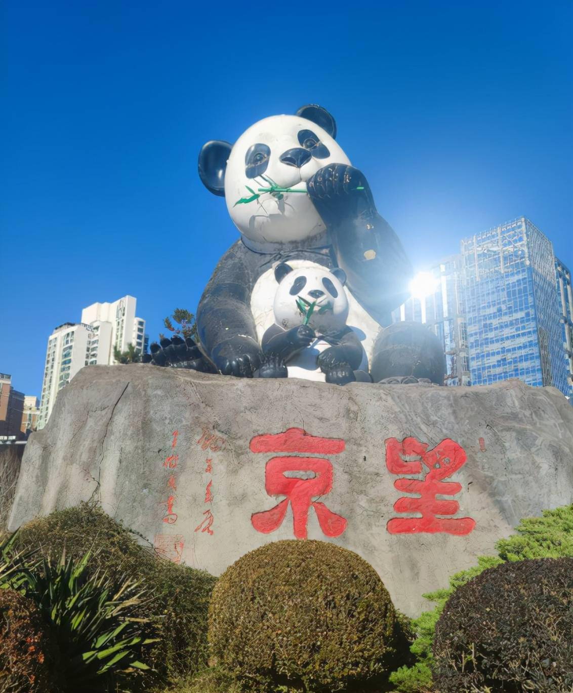 望京新版地标大熊猫亮相市民旧版的小熊猫长大穿盔甲了
