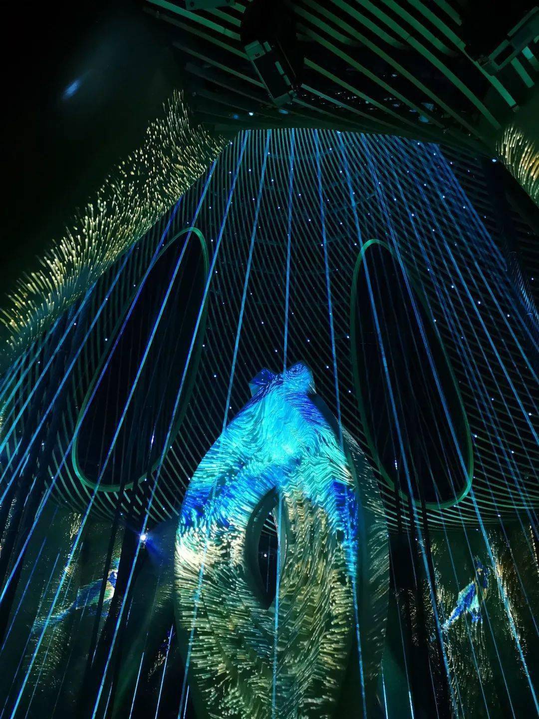 科技与艺术完美融合上海慧眼元旦焕新