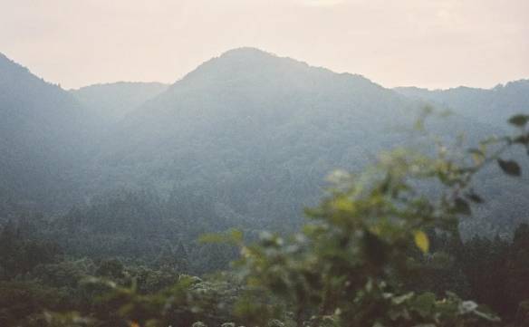 周口|徐峥新片登顶《不要抬头》上榜 一周口碑电影盘点