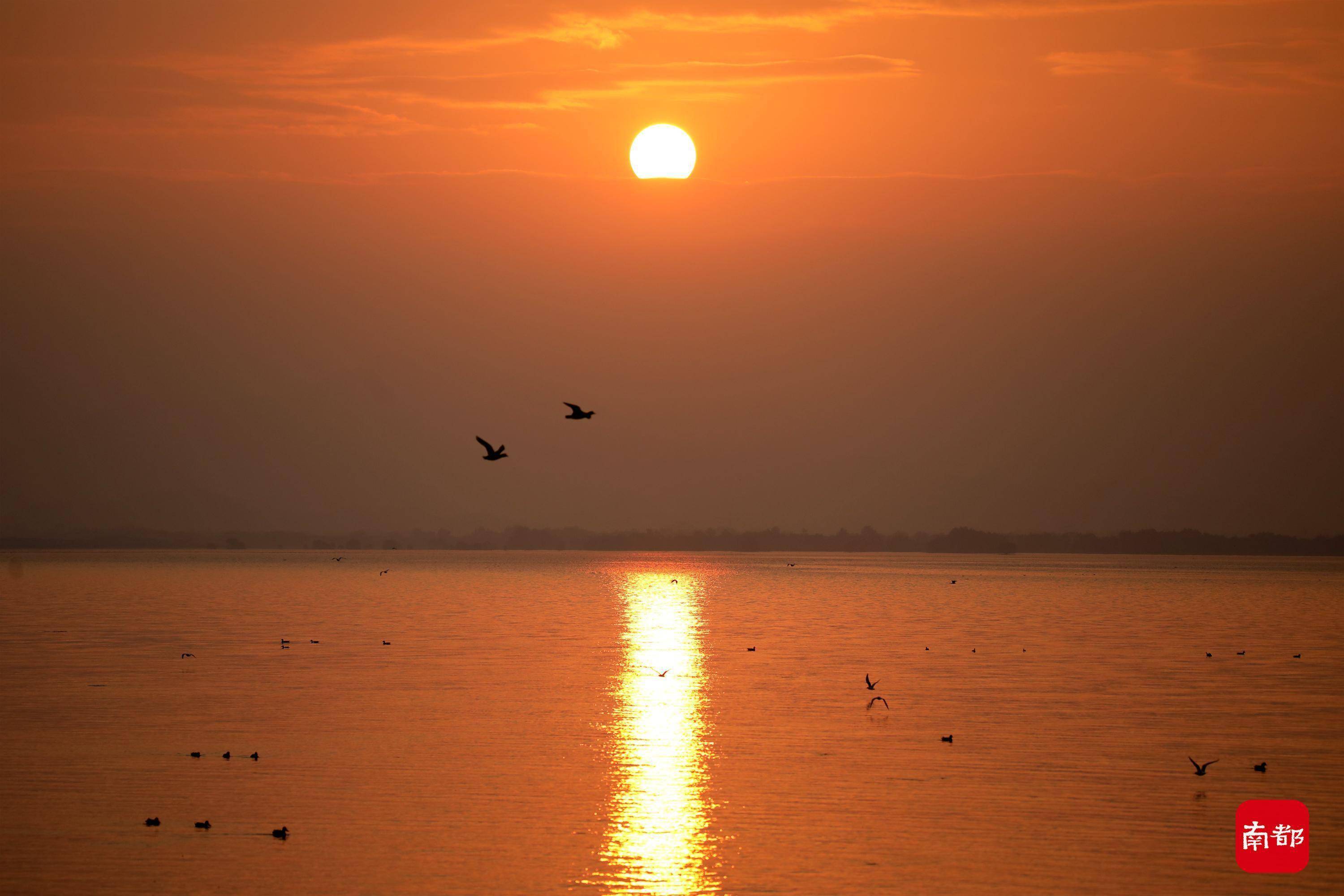年广东多地第一缕阳光,释放新年正能量_新年第一缕阳光_南都_东莞市