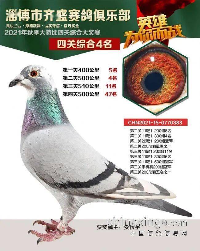 16589e031fc2408389cf0e1eddff41a1.jpeg